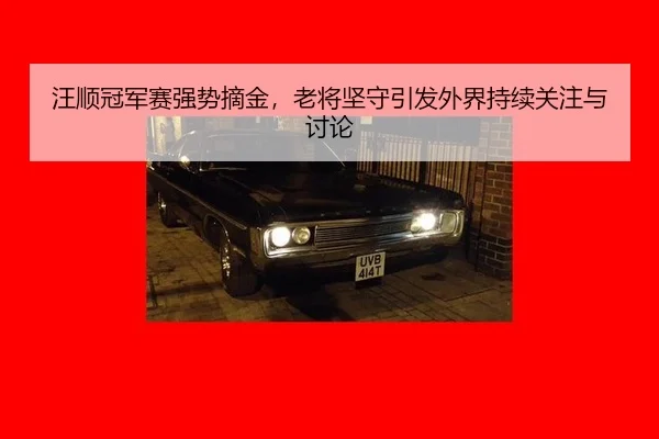 汪顺冠军赛强势摘金，老将坚守引发外界持续关注与讨论